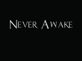 logo Never Awake